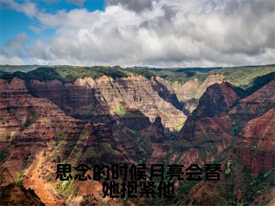 思念的时候月亮会替她抱紧他免费阅读(苏安怡陆屿辞)全文免费阅读无弹窗大结局_思念的时候月亮会替她抱紧他免费阅读最新章节列表