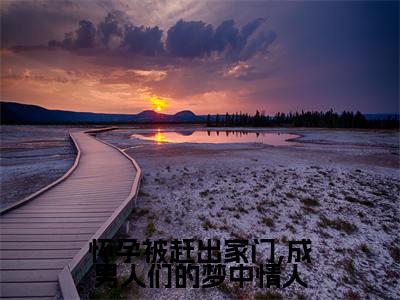 精选小说怀孕被赶出家门,成男人们的梦中情人(夏初浅百里深)全本阅读_夏初浅百里深免费阅读_笔趣阁