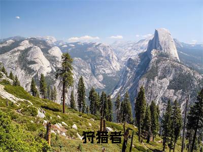 岳希瞳林遇安小说免费阅读全文（岳希瞳林遇安）全文免费阅读无弹窗大结局_狩猎者最新章节列表