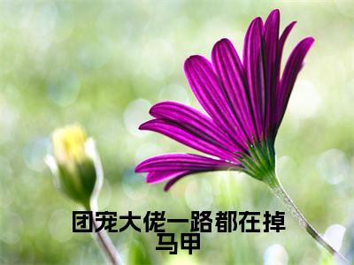 团宠大佬一路都在掉马甲精彩小说(云时谙)在哪免费看-小说(云时谙)全文完整版免费阅读