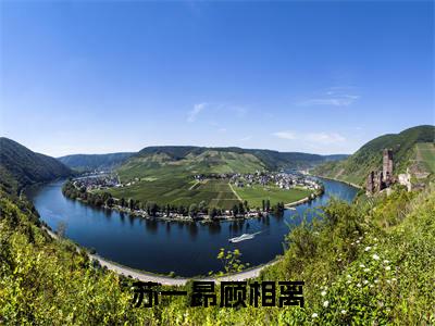 苏一昂顾相离小说全文免费阅读无弹窗,(顾相离苏一昂)小说全文免费阅读