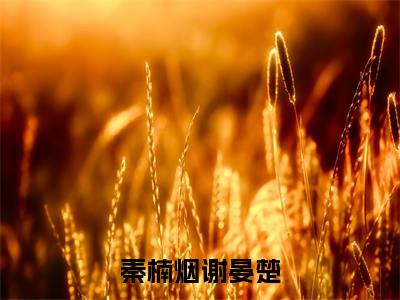 谢晏楚秦楠烟全文(秦楠烟谢晏楚小说)全文免费阅读无弹窗大结局_秦楠烟谢晏楚免费最新章节列表