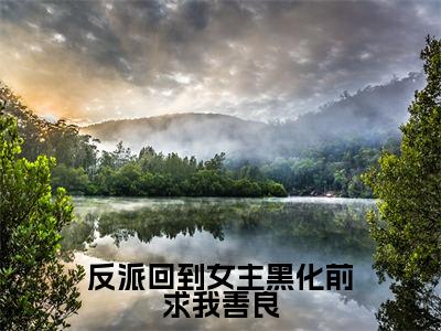 陆封(反派回到女主黑化前求我善良)小说最后结局-(反派回到女主黑化前求我善良)完结版免费阅读