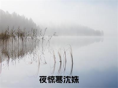 沈姝夜惊寒(夜惊寒沈姝)免费全文阅读小说_(沈姝夜惊寒)夜惊寒沈姝最新章节列表