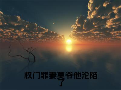权门罪妻莫爷他沦陷了全文免费完整版-小说权门罪妻莫爷他沦陷了（莫南泽轻雾）已完结全集大结局