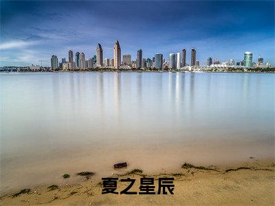夏之星辰小说全文免费阅读 （夏之之严辰煜）免费阅读全文免费阅读无弹窗大结局