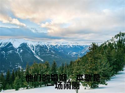 他们的婚姻,本就是一场闹剧最新章节(韩夜霖楚青芷)全文免费阅读无弹窗大结局_韩夜霖楚青芷免费阅读
