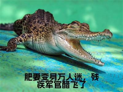 肥妻变身万人迷，残疾军官醋飞了（江辞深叶杏）小说全文免费阅读无弹窗大结局_肥妻变身万人迷，残疾军官醋飞了全文在线阅读无弹窗（江辞深叶杏）