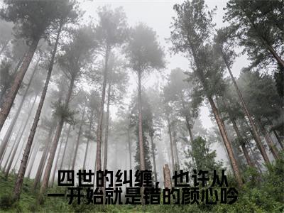 陆允泽颜心吟四世的纠缠，也许从一开始就是错的颜心吟小说在哪里可以看 四世的纠缠，也许从一开始就是错的颜心吟免费在线阅读