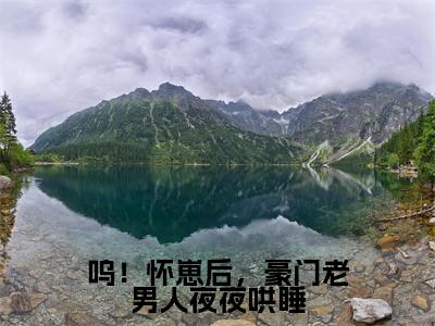 呜！怀崽后，豪门老男人夜夜哄睡司湛寒凌清阮免费阅读无弹窗最新章节列表-（呜！怀崽后，豪门老男人夜夜哄睡）司湛寒凌清阮全文免费阅读大结局笔趣阁