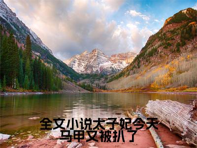 太子妃今天马甲又被扒了( 苏洛苏清风)全文免费阅读_（ 苏洛苏清风）小说太子妃今天马甲又被扒了最新章节阅读