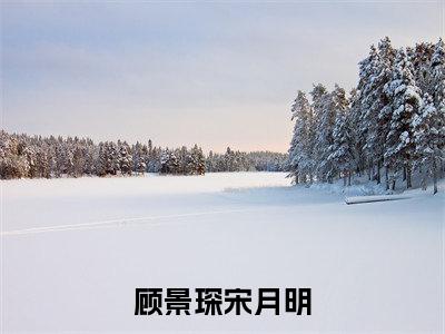 顾景琛宋月明(宋月明顾景琛)全文免费阅读无弹窗大结局_宋月明顾景琛小说最新章节列表_笔趣阁