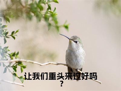 让我们重头来过好吗?(林晓慧陆北年)多人追免费无弹窗小说-主角林晓慧陆北年完整版在线阅读(让我们重头来过好吗?)