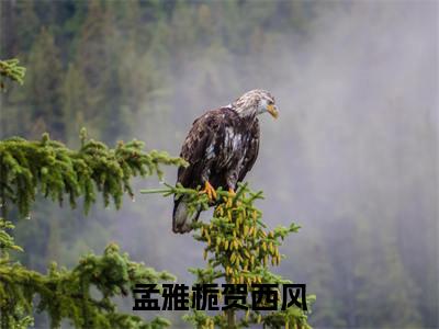 孟雅栀贺西风全集章节小说免费阅读完整版(贺西风孟雅栀)-贺西风孟雅栀小说免费阅读