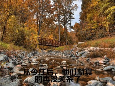 温芷霍寒川小说（从今往后，他们就真的再没关系了）完整版大结局-从今往后，他们就真的再没关系了小说免费阅读