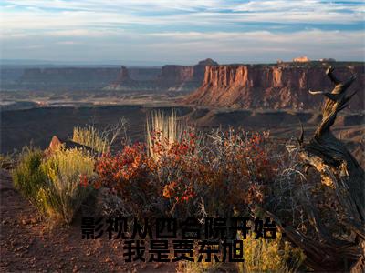 林岩全文推荐阅读，影视从四合院开始：我是贾东旭热门榜单免费新书阅读