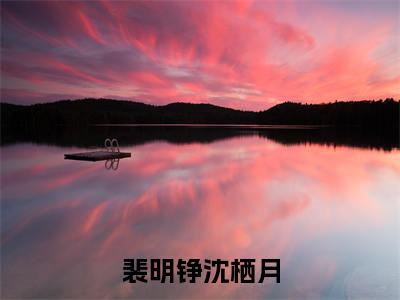 沈栖月裴明铮（裴明铮沈栖月）免费阅读无弹窗大结局_（裴明铮沈栖月）沈栖月裴明铮最新章节列表_笔趣阁