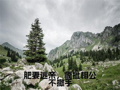 《肥妻逃亲,疯批相公不撒手》盛凌云楚夕在哪免费看-肥妻逃亲,疯批相公不撒手(盛凌云楚夕)已完结全集大结局