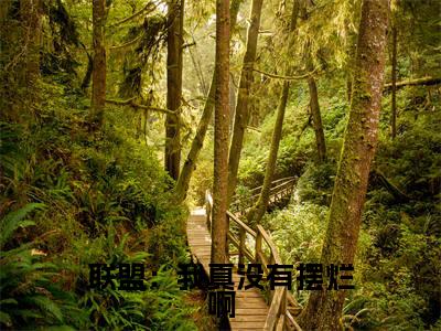 联盟:我真没有摆烂啊全文(陈冬青)抖音热推小说全集无删减_陈冬青免费最新章节列表_笔趣阁