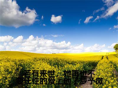 若有来世，她再也不要任性的爱上他了梦予微(谢遇安梦予微）小说全文免费读无弹窗大结局_若有来世，她再也不要任性的爱上他了梦予微小说全文免费阅读