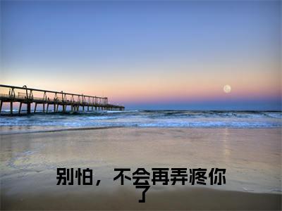 别怕，不会再弄疼你了(主角是杜又彤陈漾全文免费阅读无弹窗)_别怕，不会再弄疼你了全文免费阅读无弹窗大结局