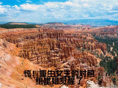 惊!重生女主的对照组堂姐觉醒了(徐之浅)全文免费阅读_(徐之浅)最新章节列表笔趣阁(徐之浅)