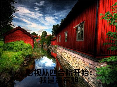 影视从四合院开始:我是贾东旭林岩精彩章节在线阅读-林岩美文欣赏