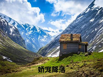 娇宠降落(牧檀辞魏宁)全文免费阅读无弹窗大结局_(娇宠降落阅读全文大结局)牧檀辞魏宁最新章节列表