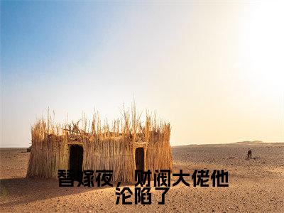 顾霆深傅暖暖全文免费阅读大结局-替嫁夜,财阀大佬他沦陷了最新章节列表笔趣阁