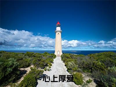 心上厚爱(祁云靳苏思北)全文免费阅读无弹窗大结局_心上厚爱最新章节列表-笔趣阁祁云靳苏思北