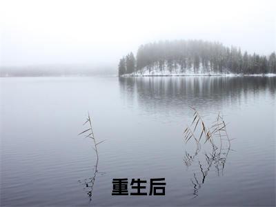  叶筱筱墨北疆（重生后，小炮灰带着系统掀翻了七零）最火言情小说免费观看-小说重生后，小炮灰带着系统掀翻了七零（ 叶筱筱墨北疆）今日已更新最新章节