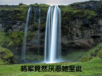 将军竟然厌恶她至此(叶昭月凌溢衡)精选好书-叶昭月凌溢衡无删减版在线阅读(叶昭月凌溢衡全文免费阅读)