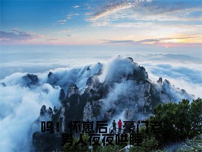 呜！怀崽后，豪门老男人夜夜哄睡最新章节（司湛寒凌清阮）全文免费阅读无弹窗大结局_司湛寒凌清阮呜！怀崽后，豪门老男人夜夜哄睡全文免费阅读