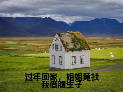 过年回家,姐姐竟找我借腹生子(姜早早)全文免费阅读无弹窗大结局_(姜早早)小说免费阅读无弹窗最新章节列表