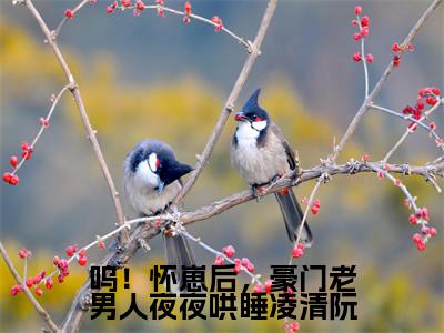 呜!怀崽后,豪门老男人夜夜哄睡凌清阮(司湛寒凌清阮)全文免费阅读无弹窗大结局_(司湛寒凌清阮)章节列表_笔趣阁