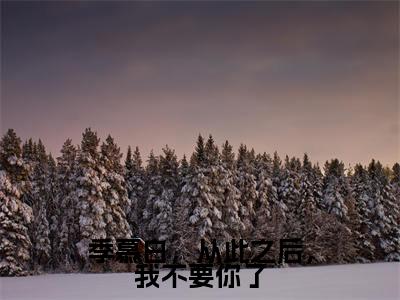 季慕白，从此之后，我不要你了(季慕白沈书意)小说免费下载全本-季慕白，从此之后，我不要你了（季慕白沈书意完整版）免费阅读无弹窗