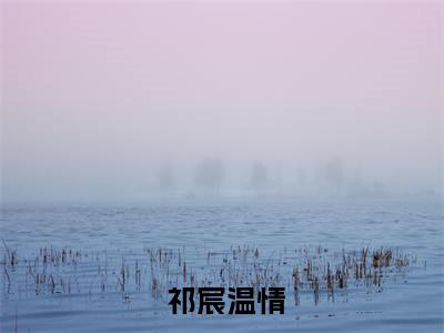 谋爱为营：狠戾大佬独宠我一人祁宸温情在线阅读（ 祁宸温情小说）全文免费阅读无弹窗大结局_谋爱为营：狠戾大佬独宠我一人祁宸温情免费最新章节列表