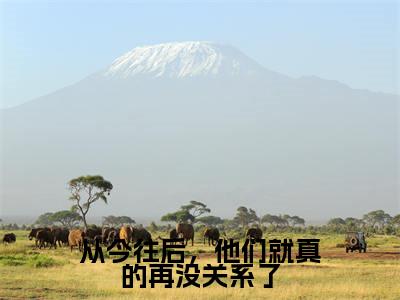从今往后,他们就真的再没关系了热文小说全文阅读-精彩美文温芷霍寒川免费阅读