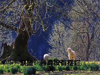 （陈冬青）联盟：我真没有摆烂啊小说小说免费陈冬青读无弹窗最新章节列表_笔趣阁（联盟：我真没有摆烂啊）