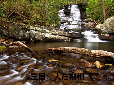 三国：人在荆州，开局截胡黄忠（ 刘表刘修）小说全文免费阅读_（ 刘表刘修）小说全文无删减版在线阅读