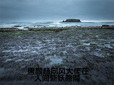  唐颜杨向风（大佬在人间斩妖除魔）完整版小说阅读- 唐颜杨向风小说（大佬在人间斩妖除魔）精彩免费试读