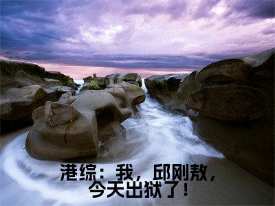 港综:我,邱刚敖,今天出狱了!免费小说 邱刚敖全文完整版阅读