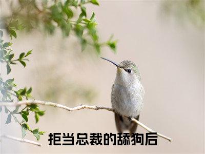 拒当总裁的舔狗后(孟南絮周寒之)全文免费阅读无弹窗_拒当总裁的舔狗后小说免费阅读_笔趣阁
