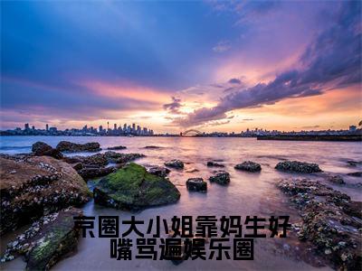 京圈大小姐靠妈生好嘴骂遍娱乐圈(宁瑜)小说-京圈大小姐靠妈生好嘴骂遍娱乐圈小说免费最新章节列表