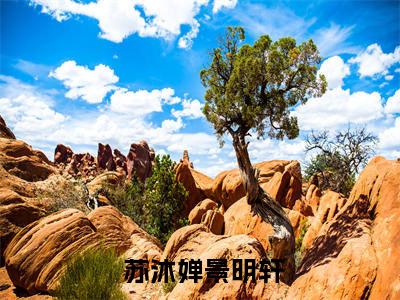  苏沐婵景明轩（我一正经人，咋天天被病娇魔尊攻略）全文免费阅读无弹窗_ 苏沐婵景明轩最新小说_笔趣阁