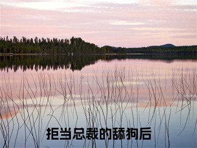 拒当总裁的舔狗后全文免费完整版-小说拒当总裁的舔狗后（周寒之孟南絮）已完结全集大结局