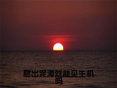 姜卓宁晏别尘小说爬出泥潭就能见生机吗完整版大结局-姜卓宁晏别尘小说完结版在线阅读