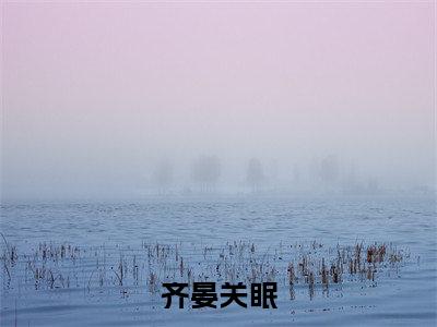关眠齐晏小说(齐晏关眠已完结小说全集完整版大结局)齐晏关眠小说全文阅读笔趣阁