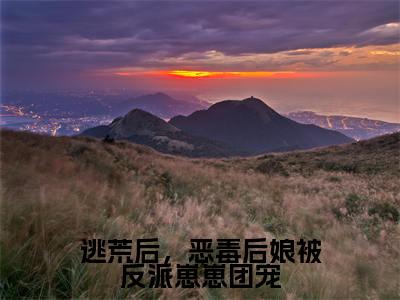 涂晚全文免费阅读无弹窗大结局_(逃荒后，恶毒后娘被反派崽崽团宠阅读全文大结局)涂晚最新章节列表（逃荒后，恶毒后娘被反派崽崽团宠）