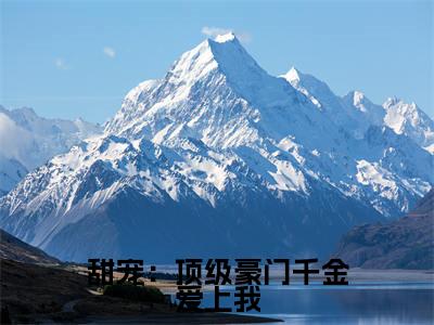 甜宠：顶级豪门千金爱上我（ 林风林薇薇）全文免费阅读-甜宠：顶级豪门千金爱上我（ 林风林薇薇）全章节完整版在线阅读